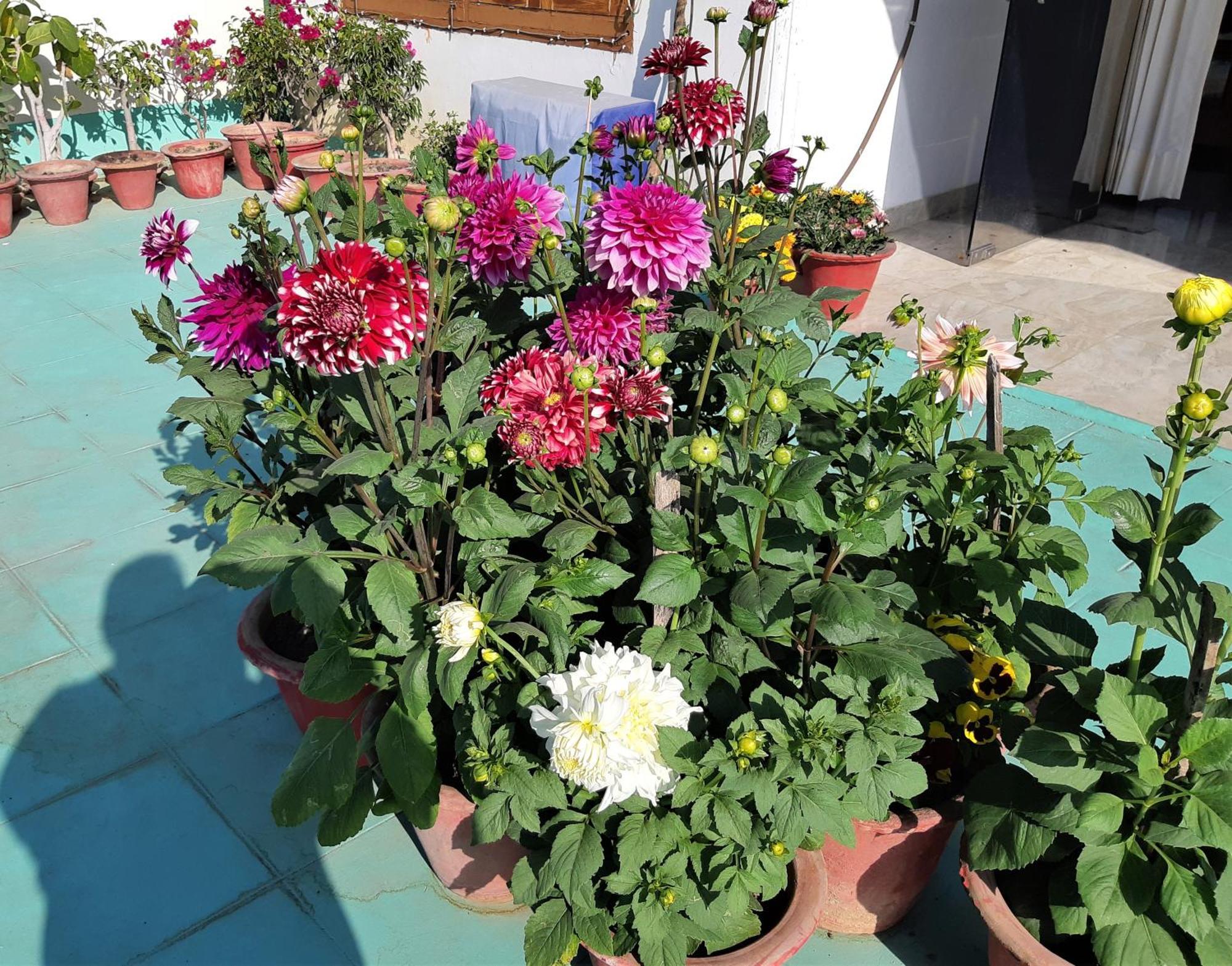 Fully Furnished Ish, Atithya Homestay With Various Amenities And Free Services In Lucknow, India Екстер'єр фото