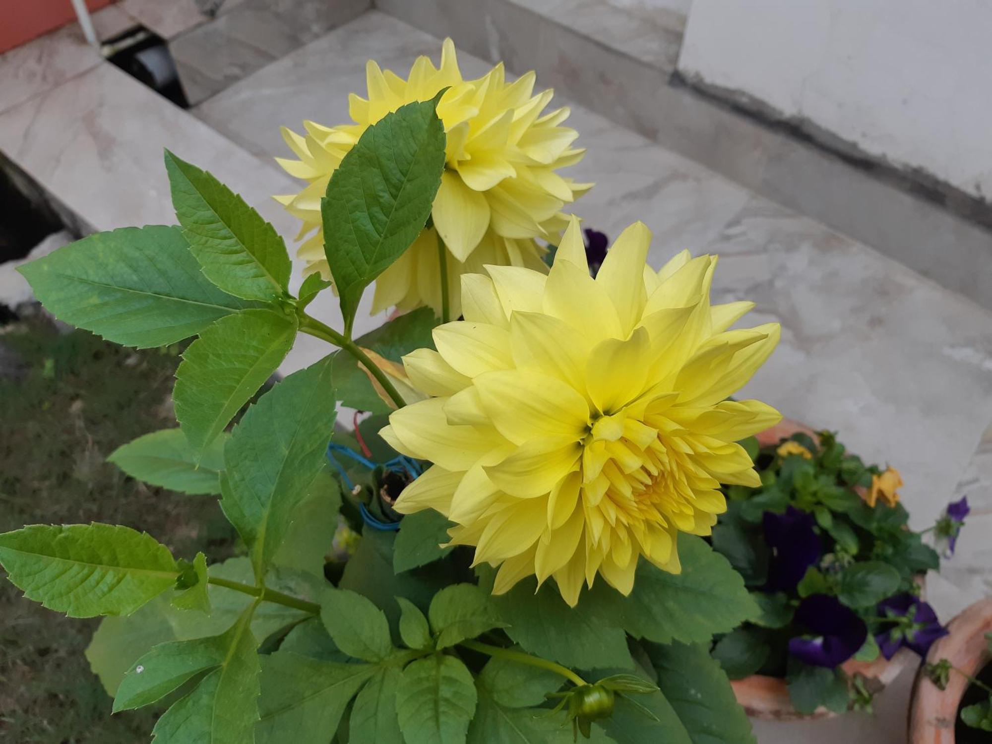 Fully Furnished Ish, Atithya Homestay With Various Amenities And Free Services In Lucknow, India Екстер'єр фото